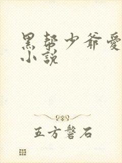 黑帮少爷爱上我小说