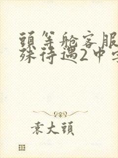 头等舱客服的特殊待遇2中字