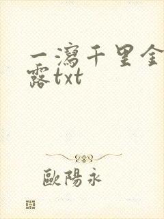 一泻千里金银花露txt