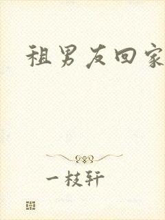 租男友回家过年