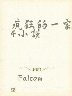 疯狂的一家ps4小说