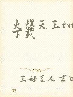 火爆天王txt下载