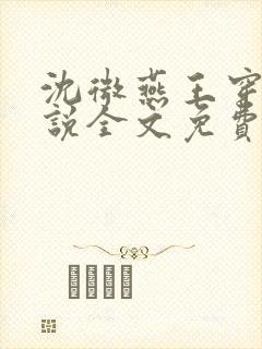 沈微燕王穿越小说全文免费阅读