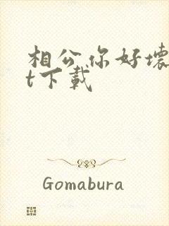 相公你好坏txt下载