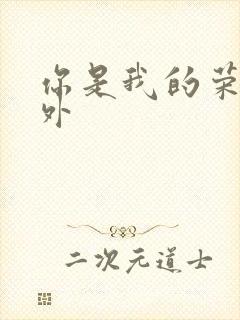 你是我的荣耀番外