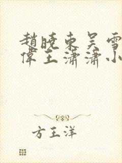 赵晓东吴雪晴郑伟王潇潇小说名字