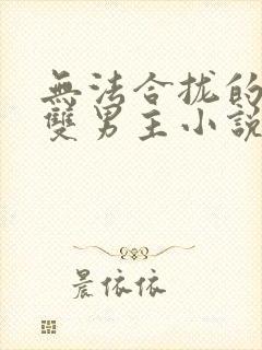 无法合拢的总裁双男主小说