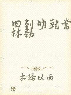 回到明朝当王爷林劲