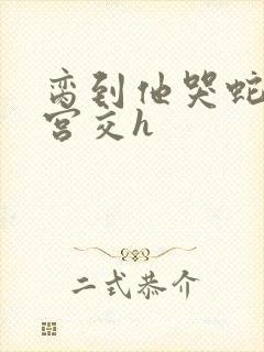 《脔到他哭蛇双根宫交h》小说封面