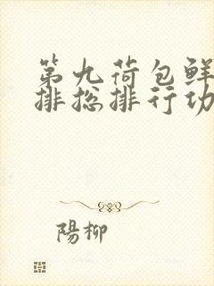 第九荷包鲜辣肉排总排行功能介绍