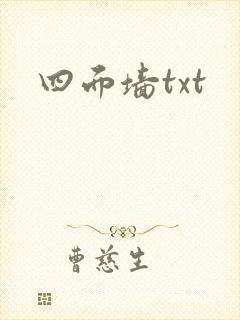四面墙txt