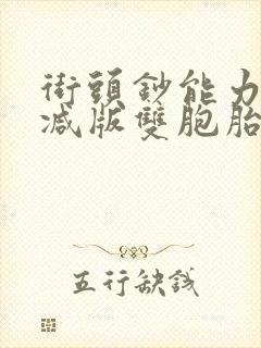 街头钞能力无删减版双胞胎