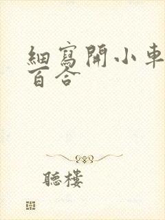 细写开小车车的百合