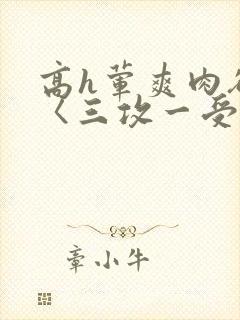 高h荤爽肉欲文〈三攻一受