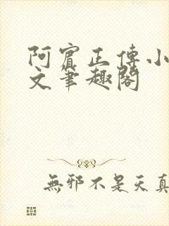 阿宾正传小说全文笔趣阁