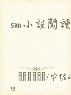 sm小说阅读
