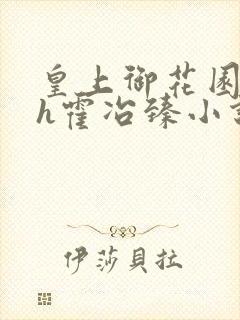 皇上御花园hlh霍冶臻小说