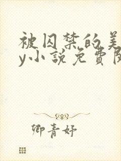 被囚禁的美人by小说免费阅读