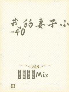 我的妻子小谨1-40