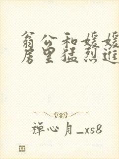 翁公和媛媛在厨房里猛烈进出