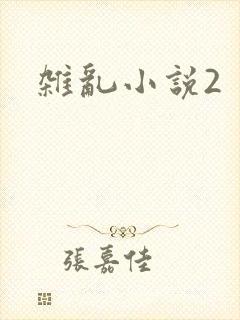 杂乱小说2