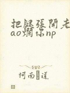 把腿张开老子cao烂你np