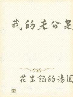 我的老公是冥王