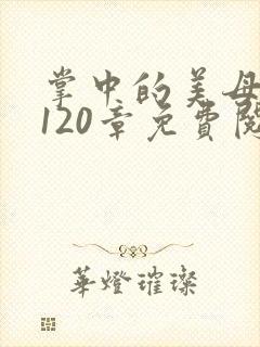 掌中的美母版主120章免费阅读