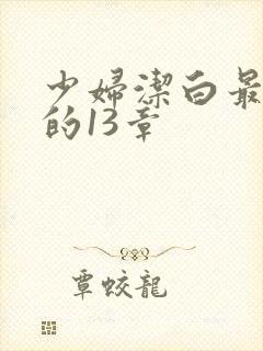 少妇洁白最刺激的13章