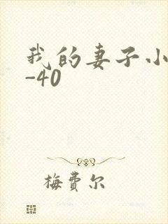 我的妻子小谨1-40