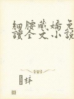 细腰藏娇免费阅读全文小说苏珞浅