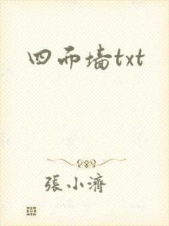 四面墙txt