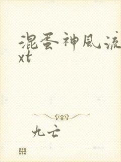 混蛋神风流史txt封面
