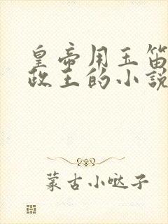 皇帝用玉笛整摄政王的小说