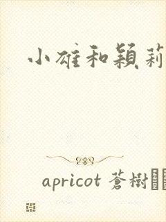 小雄和颖莉