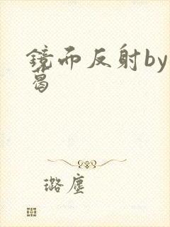 镜面反射by九葛