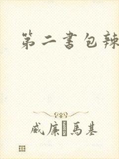 第二书包辣文
