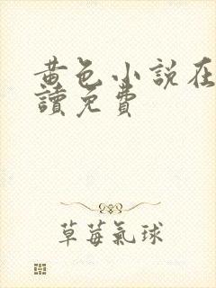 黄色小说在线阅读免费