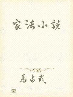家法小说