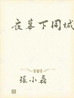 夜幕下同城网
