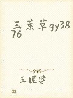 三叶草gy3876