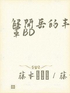 解开岳的丰满奶罩BD