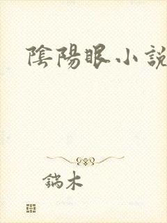 阴阳眼小说
