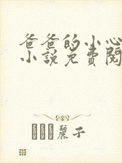 爸爸的小心肝儿小说免费阅读