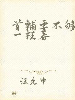 首辅要不够po一枝春