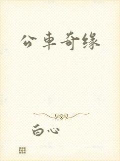 公车奇缘