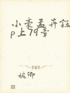小豪孟卉钰慧三p上79章