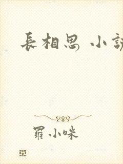 长相思 小说