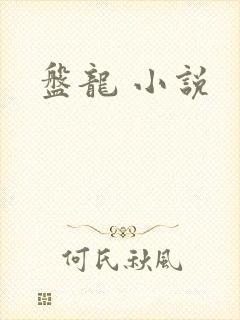 盘龙 小说