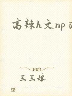 高辣h文np爽